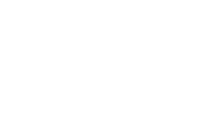 TrueLevel Shades